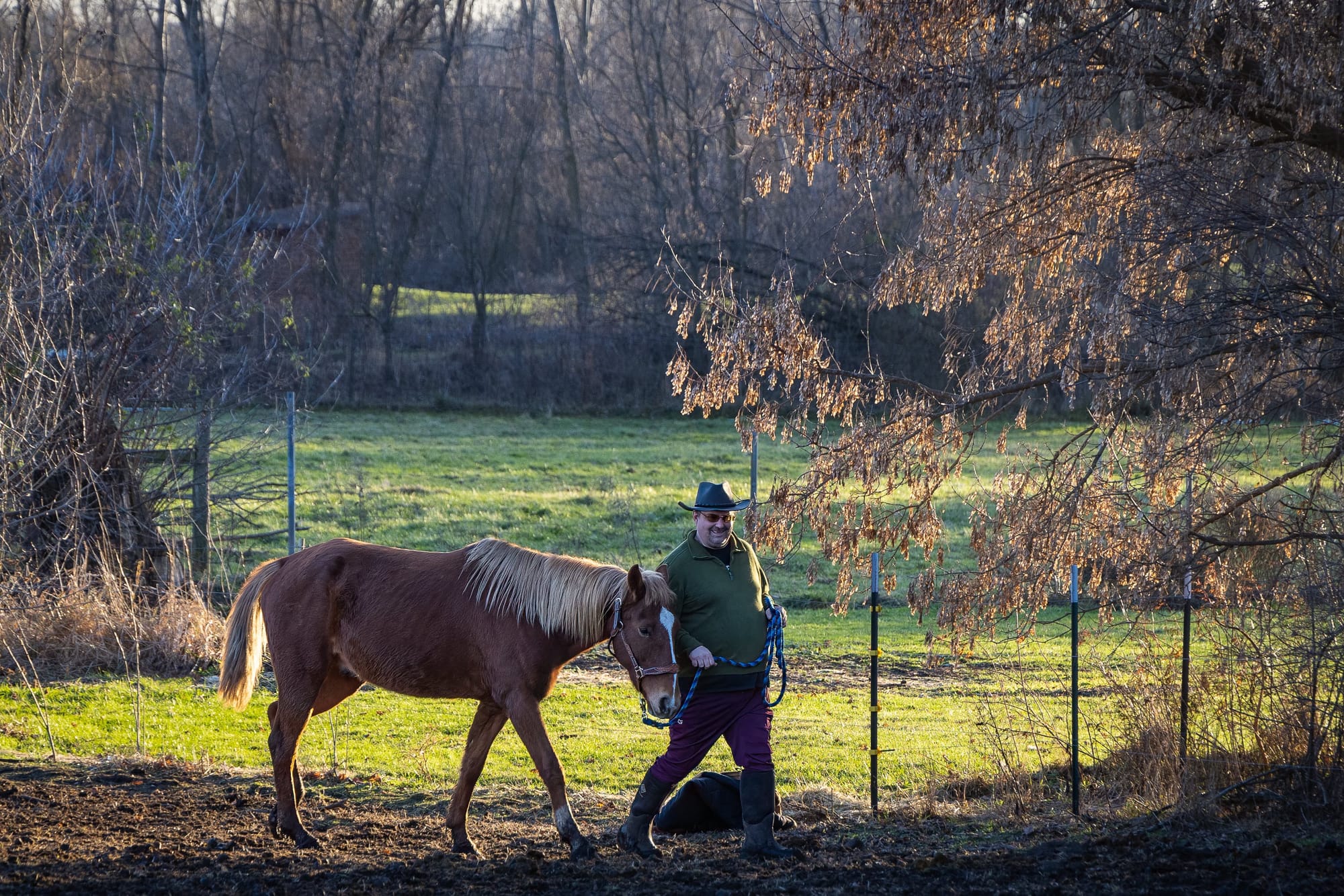 A Mild Voice of Reason