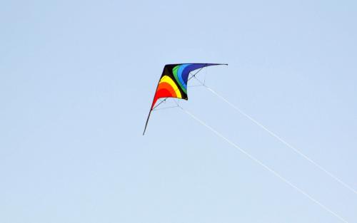 Kids were flying kites.