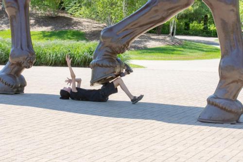 Meijer Gardens (June 2024)