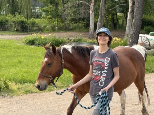 Kodi can walk down the road, if you incentivize him properly.