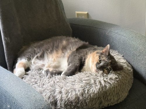 Queen Kali, first of her name, queen of the back half of the office.