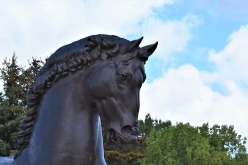 davinci-horse-head