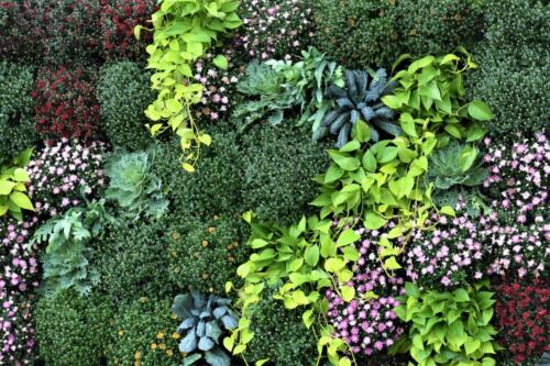 Meijer Gardens (September 2021)