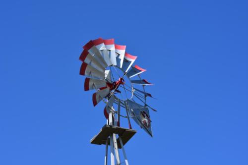 Grand Ravines (June 2020)